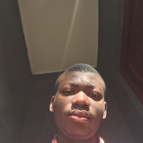 Oluwatimileyin  A. profile photo