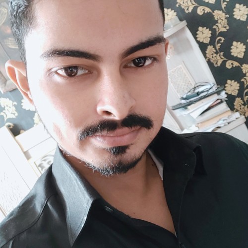 Arsalan N.