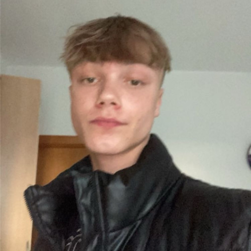 Alex K. profile photo