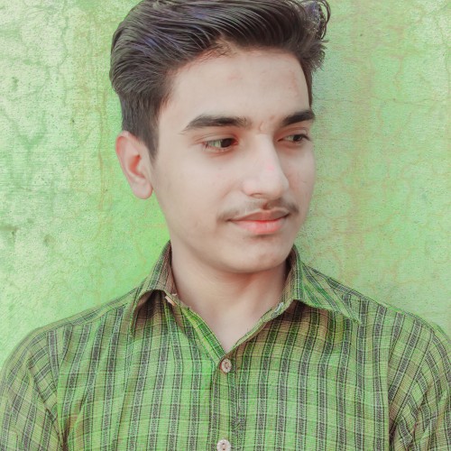 Mehar S.