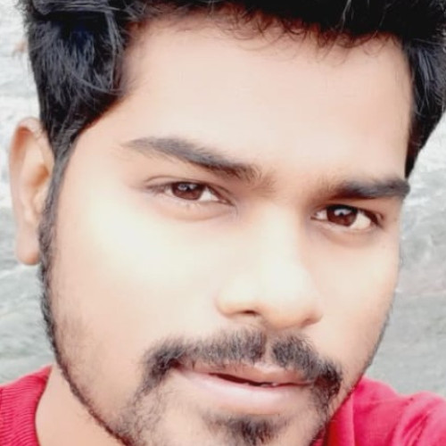 pradeep D. profile photo