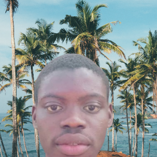 Emmanuel F. profile photo