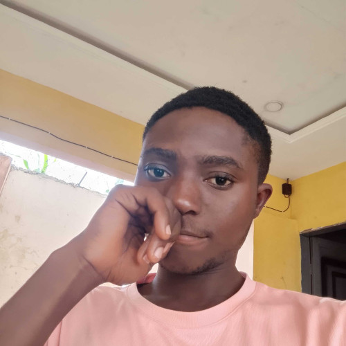 Oyelami O. profile photo