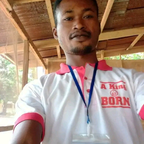 Oluwafemi  M. profile photo
