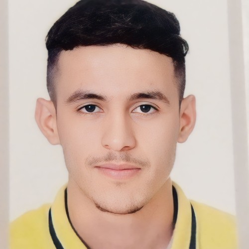 Hicham H. profile photo