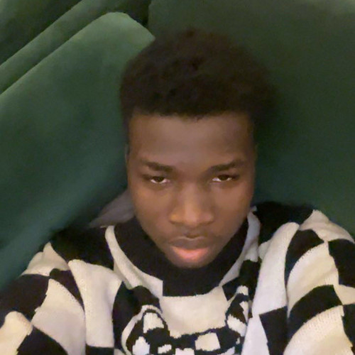 temitayo r. profile photo