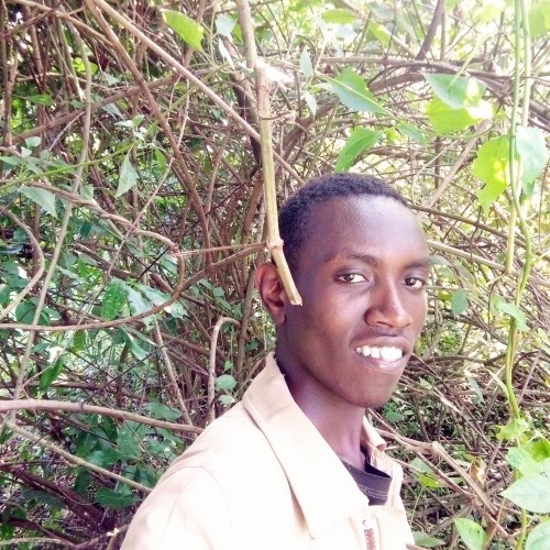 GRIFFINS  O. profile photo