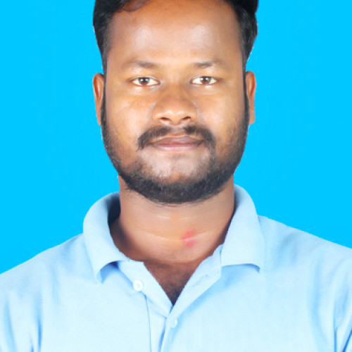 Bidyadhar P. profile photo