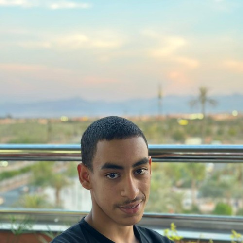 abdelfatah 3.
