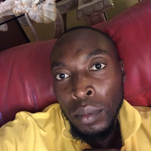 Steve  C. profile photo