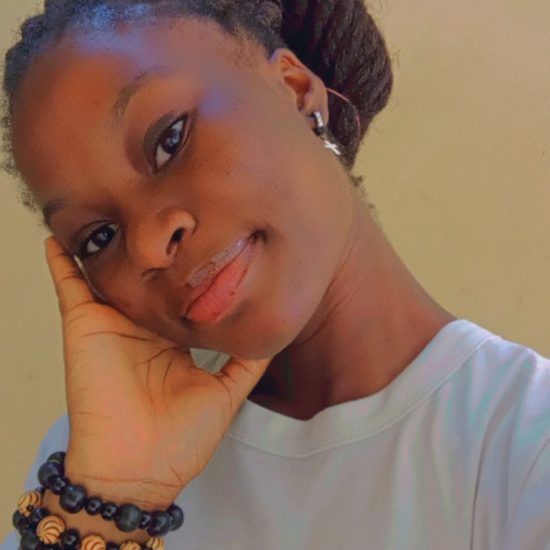 adeleye o. profile photo