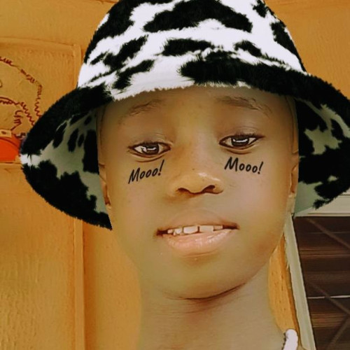 Ikechukwu O. profile photo