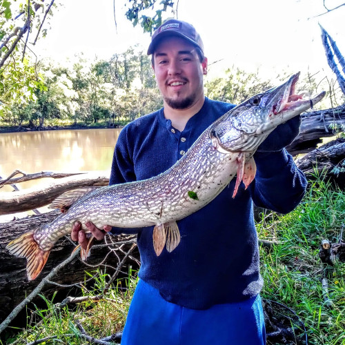 Chris S. profile photo