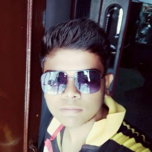 Vivek S.