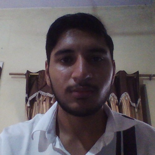Ansh M.