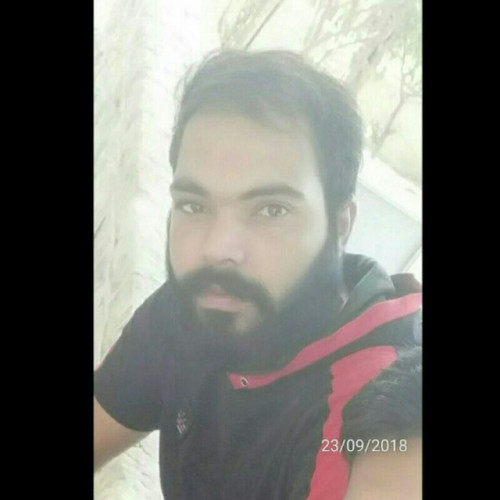 mohsen Z. profile photo