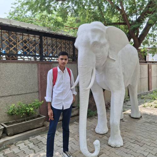 Kapil C. profile photo