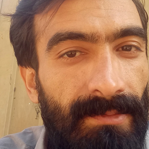 Ali Z. profile photo