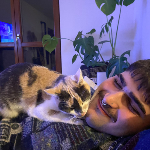 Vito L. profile photo