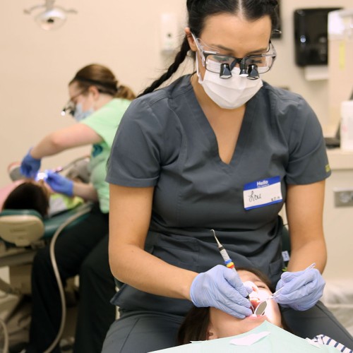 Honey B. profile photo