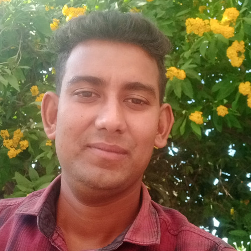 raj k. profile photo