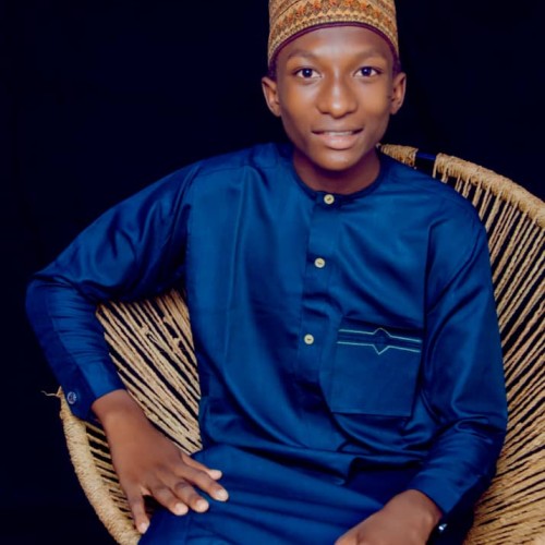 Auwalu N.