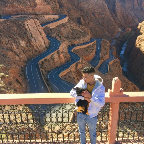 mohamed o. profile photo