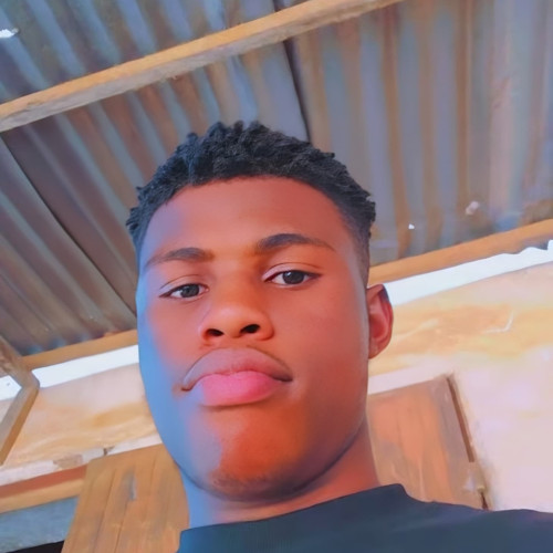 Chris P. profile photo