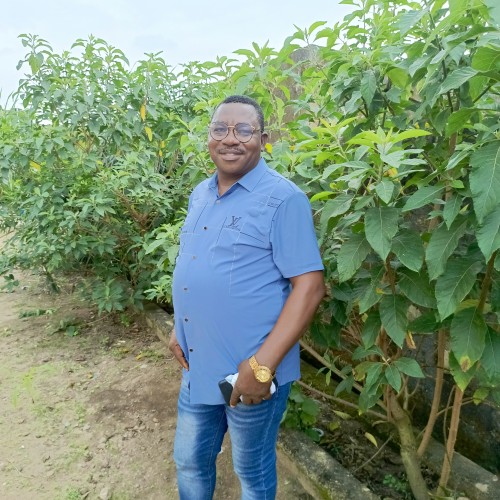 Felix  O. profile photo