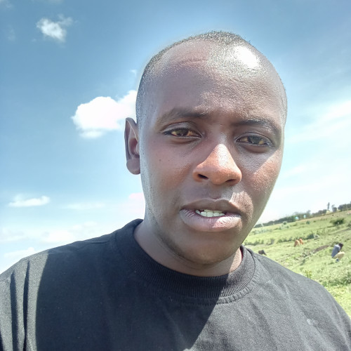 Dennis  K. profile photo
