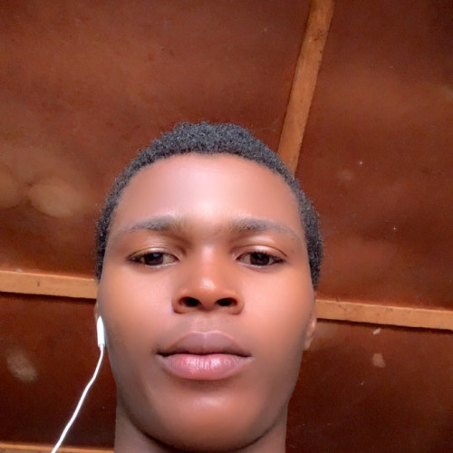 Qommander D. profile photo