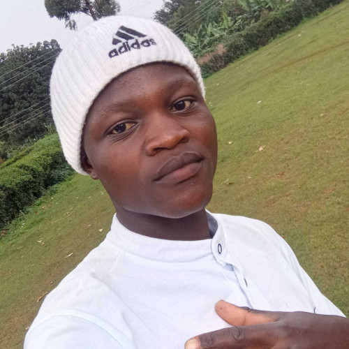 iman A. profile photo