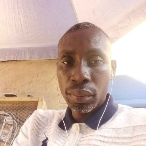 Adebayo A. profile photo