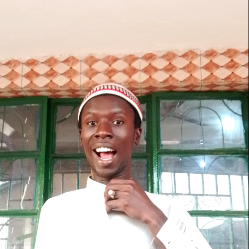 Ebrima  N. profile photo