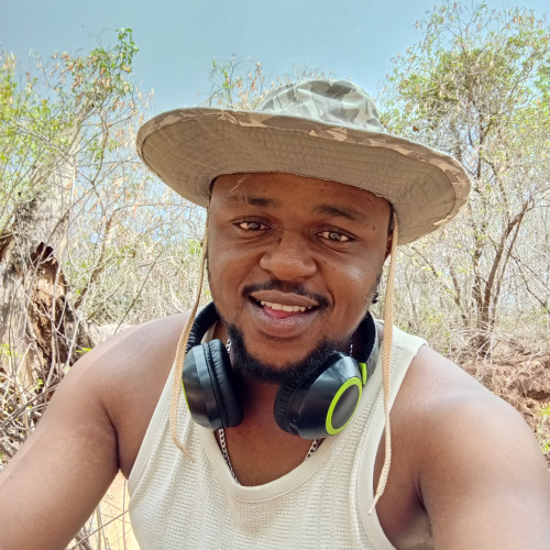 Dennis M. profile photo