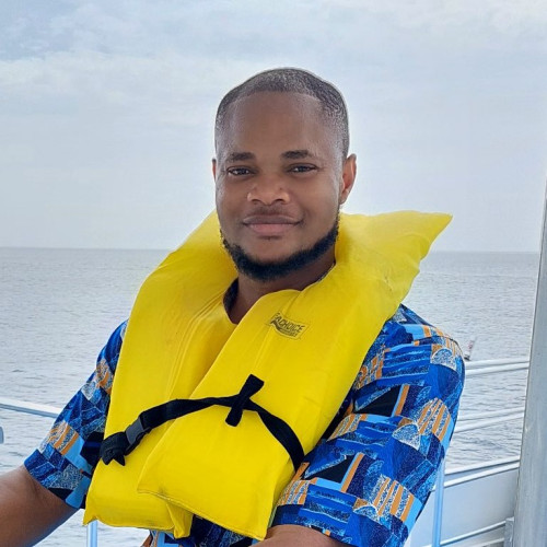 Nnaemeka N. profile photo