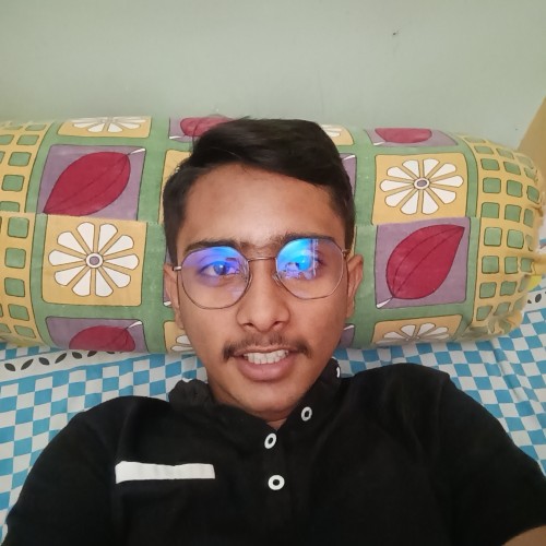 Sanket W.