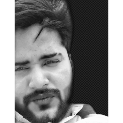 Shayan  B.
