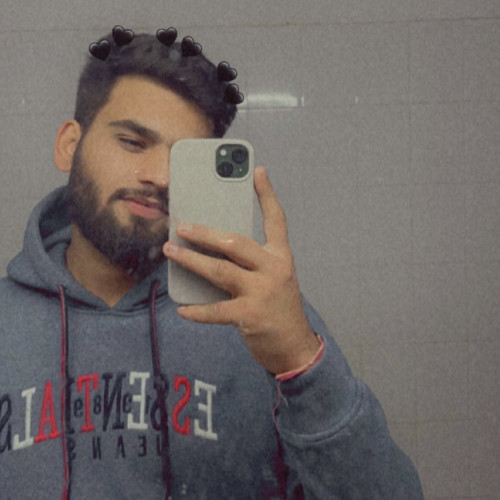 Ayush V. profile photo