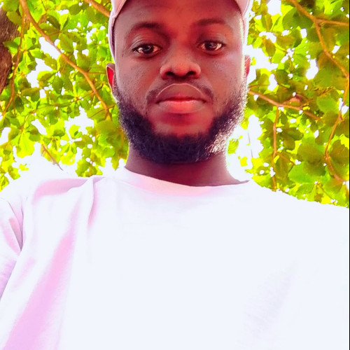 hammed o. profile photo