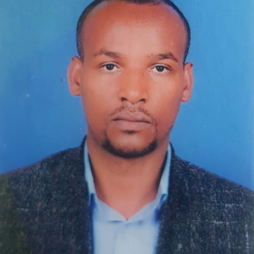 Biruk S. profile photo