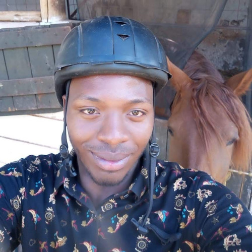 Ryan N. profile photo