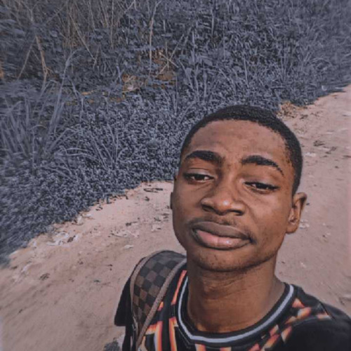 Mark E. profile photo