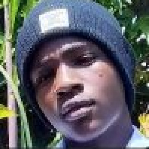 denis t. profile photo