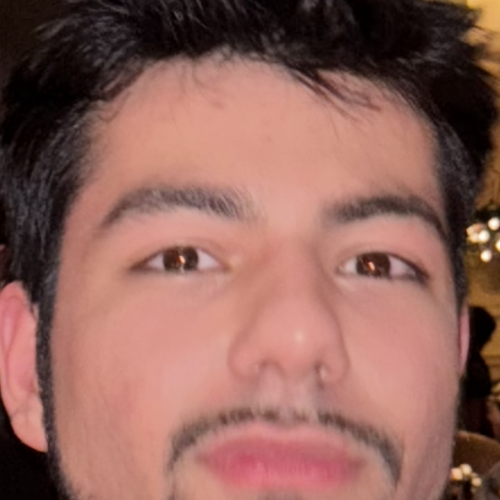 David D. profile photo