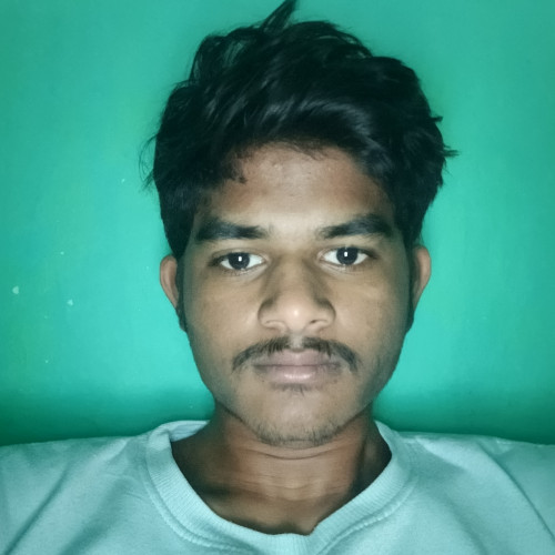 Raj S.