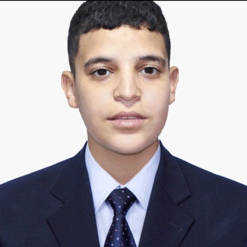 Mehdi R.