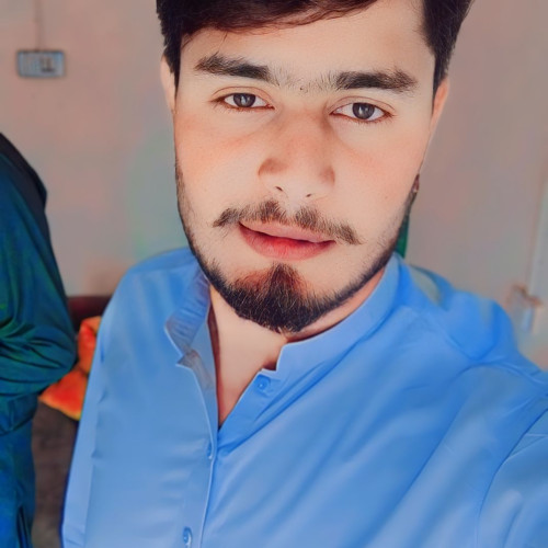 Ali S. profile photo