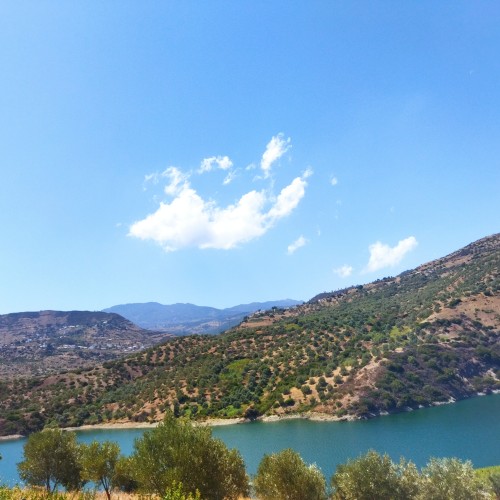 Yassin A. profile photo