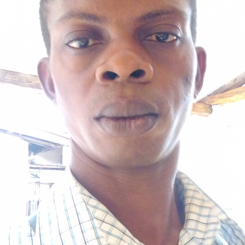 Kolawole B. profile photo